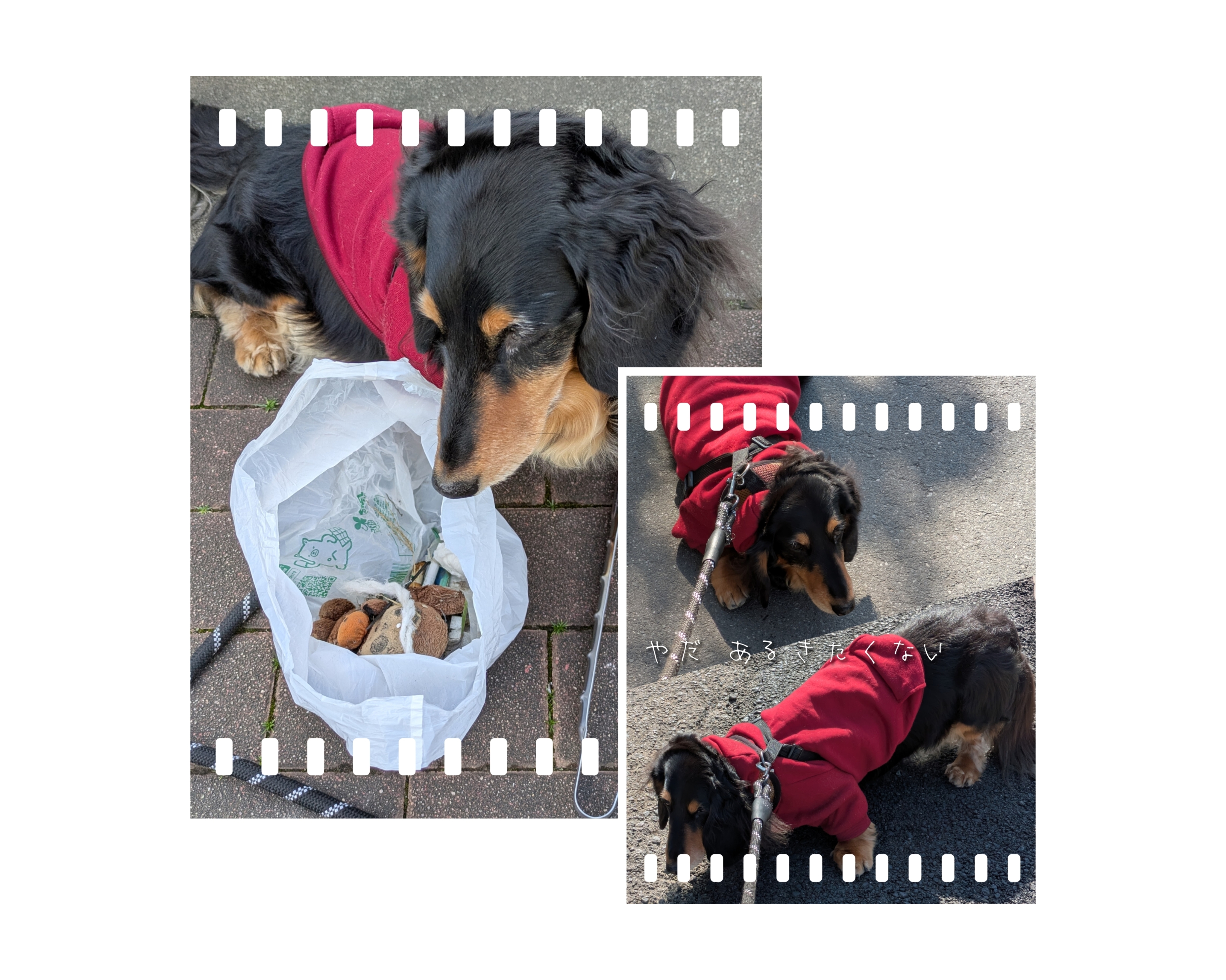 わたしに出来ること