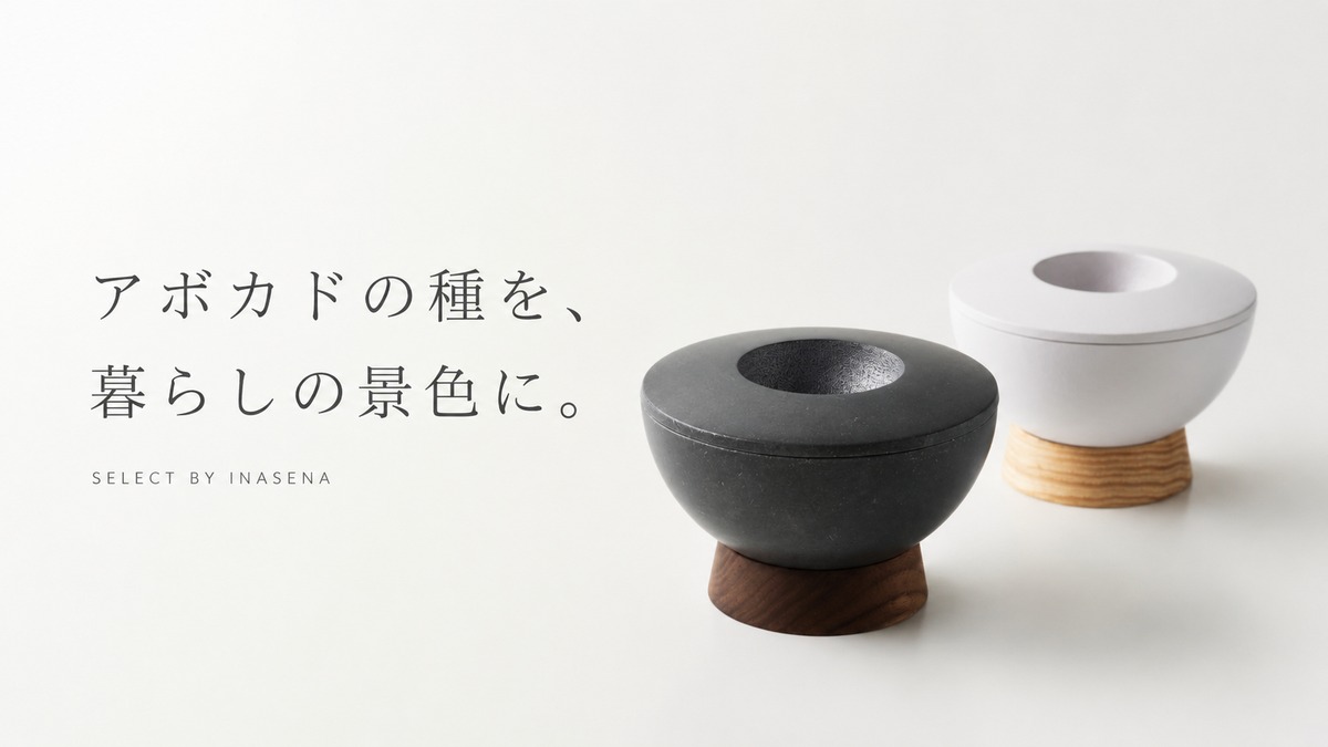 アボカドの種を育てる、アボガドポットという花器
