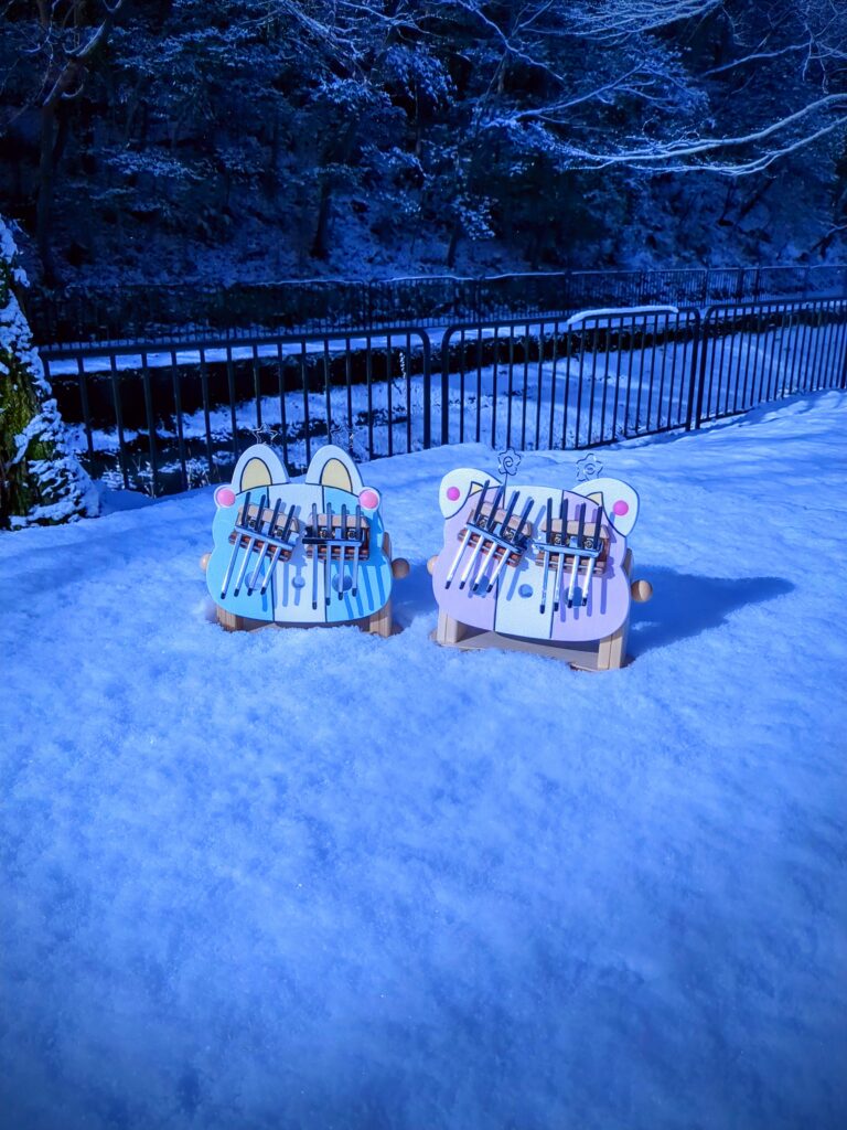 雪原のイロハニコット【2025年2月8日ごろ】