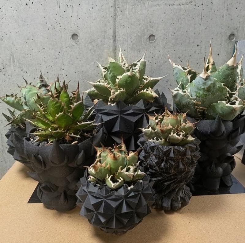 アガベ向け植木鉢・プランター（3Dプリンター製）｜徒長を防ぐ高排水