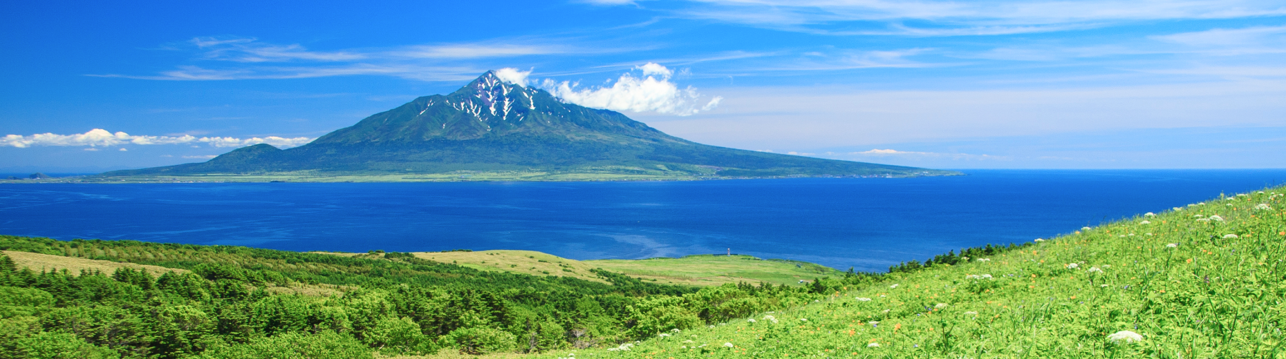 ブランドストーリー