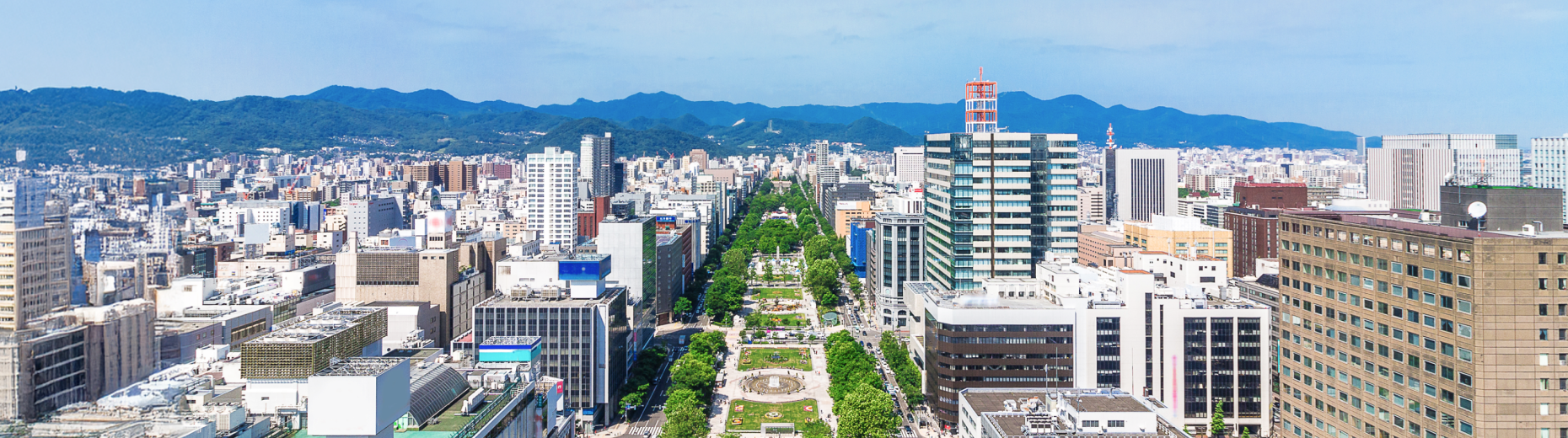 会社情報