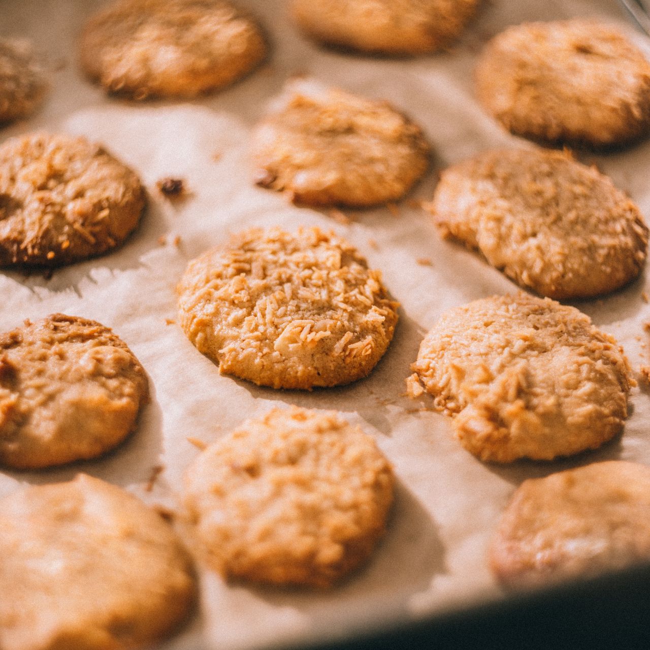 【新商品】シンプルがいちばん。プレーンクッキーできました🍪