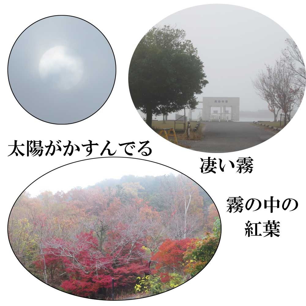 12月2日（火）朝から滋賀県全体に濃霧注意報が出ている中、琵琶湖沿いをウォーキングしてきました。