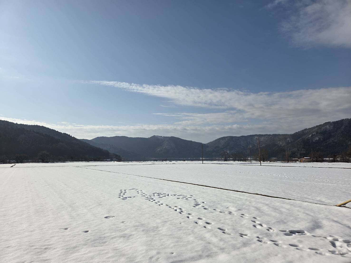 2月15日（日）今若者の間のSNSでバズっている「余呉の雪」に見に行き、余呉湖一周を歩いてきました。