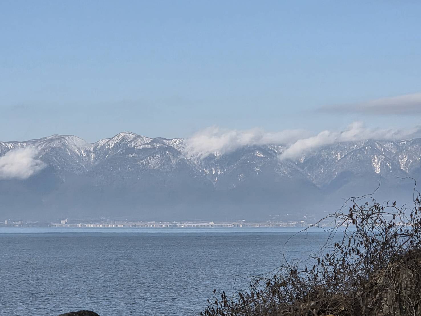 1月10日（土）滋賀県近江八幡市にある「長命寺港」のネコと琵琶湖対岸の比良山系の積雪です。