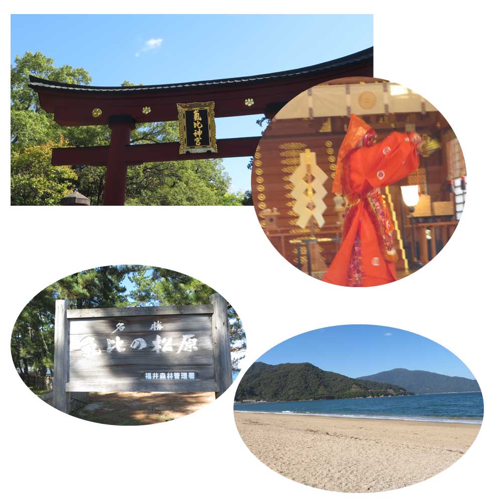 10月29日（水）福井県敦賀市の「気比神社、気比の松原、赤レンガ倉庫」など敦賀観光に行ってきました。