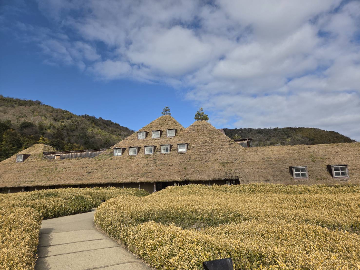 2月17日（火）滋賀県近江八幡市にあるラコリーナに行ってきました。バームコーヒーも美味しかったです。