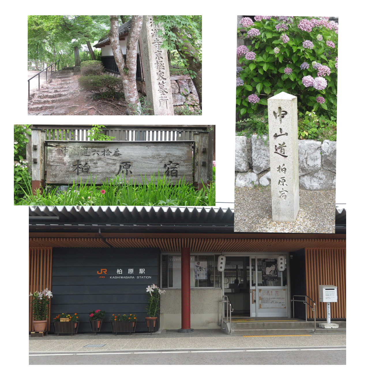 7月6日（日）滋賀県米原市柏原から醒ヶ井の中山道をウォーキングしてきました。