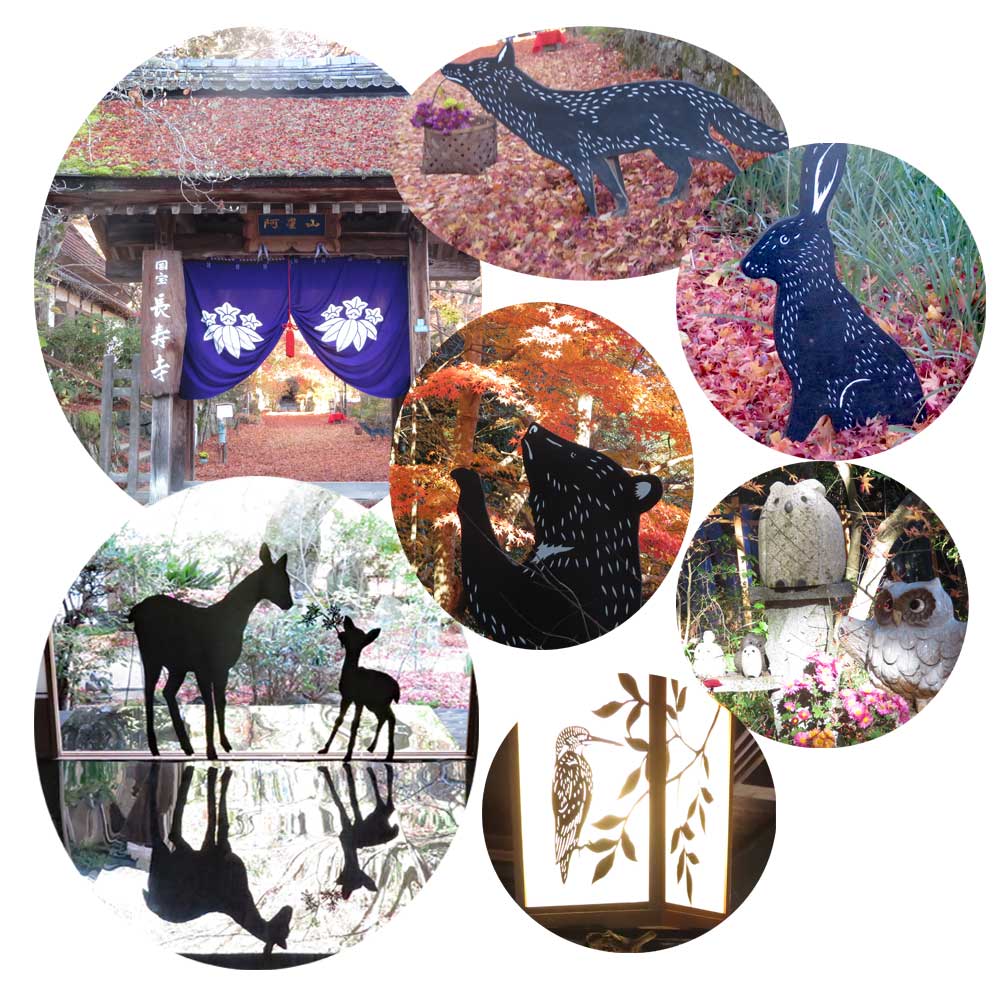 12月6日（土）滋賀県湖南市にある湖南三山の「長寿寺（ちょうじゅじ）」に紅葉を見に行ってきました。