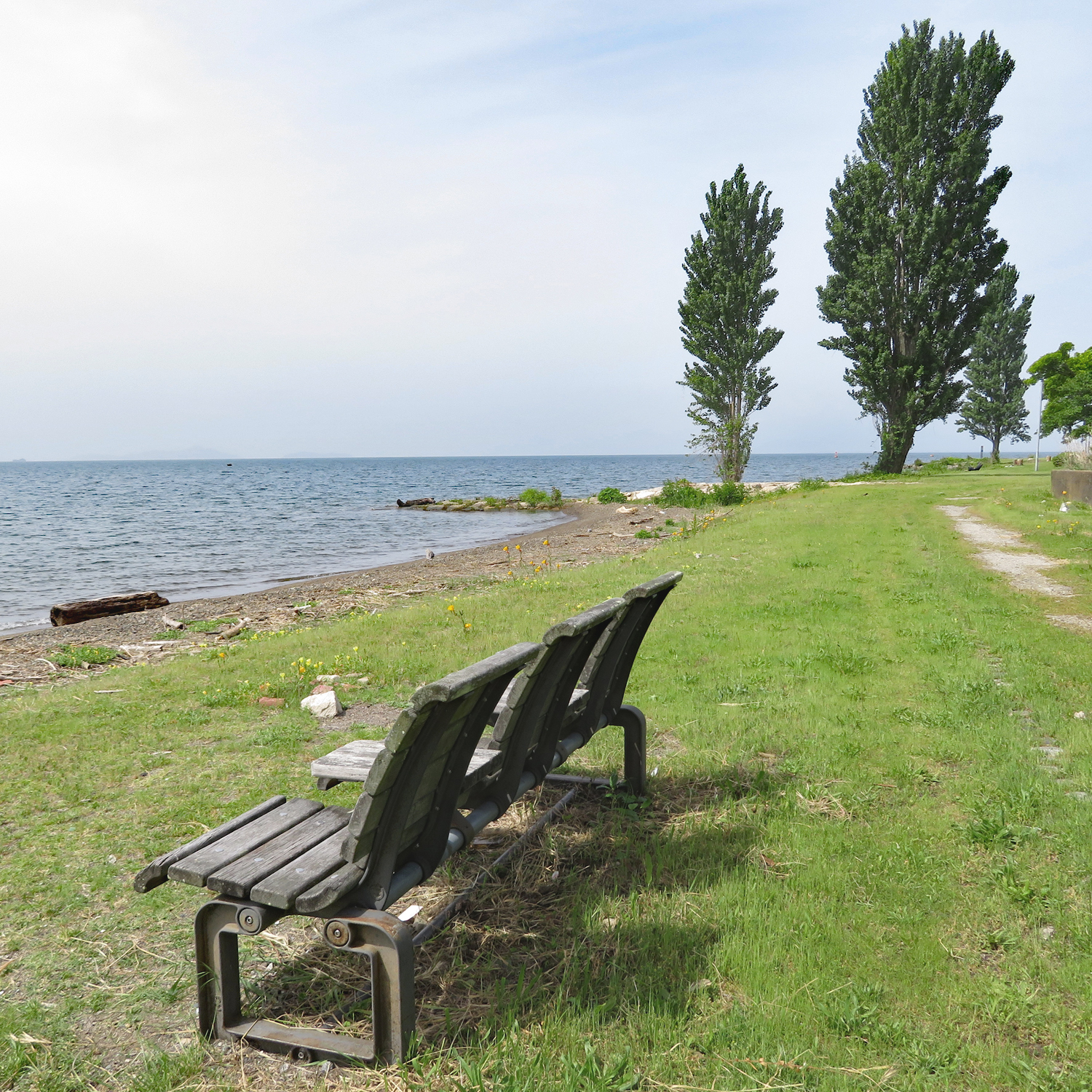 5月19日（月）滋賀県長浜市南浜町の琵琶湖岸をウォーキングに行ってきました。