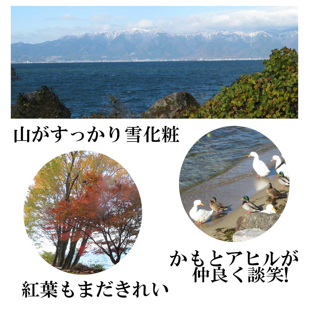 12月5日（金）滋賀県でも初雪が降った後の「長命寺近くの琵琶湖沿いの道」をウォーキングしてきました。