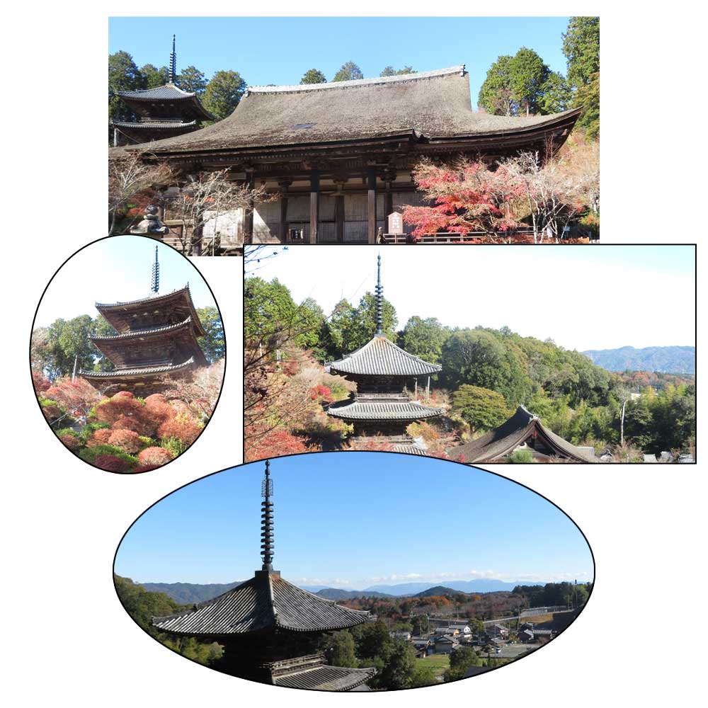 12月6日（土）滋賀県湖南市にある湖南三山の「常楽寺（じょうらくじ）」に紅葉を見に行ってきました。