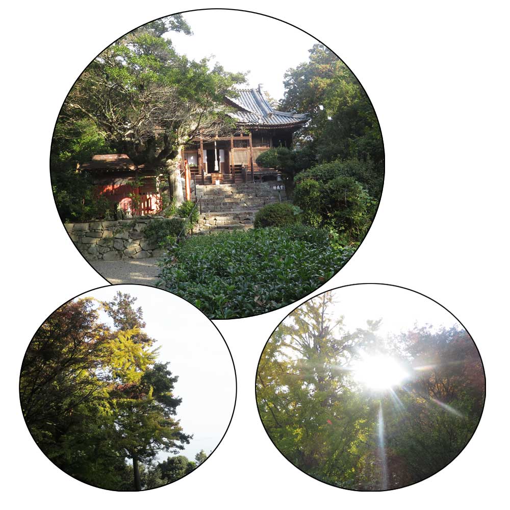 11月27日（木）滋賀県近江八幡市にある「棹飛び（さおとび）で有名な伊崎寺」に参拝に行ってきました。