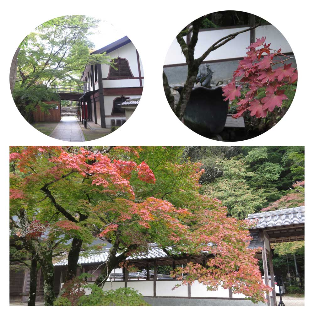 10月27日（月）滋賀県東近江市にある紅葉の名所「永源寺（えいげんじ）」に行ってきました。