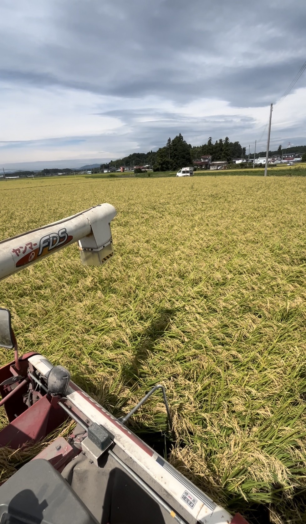 新米販売します～！