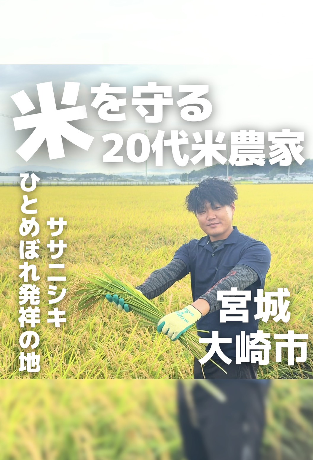 【お米の価格を見直しました】