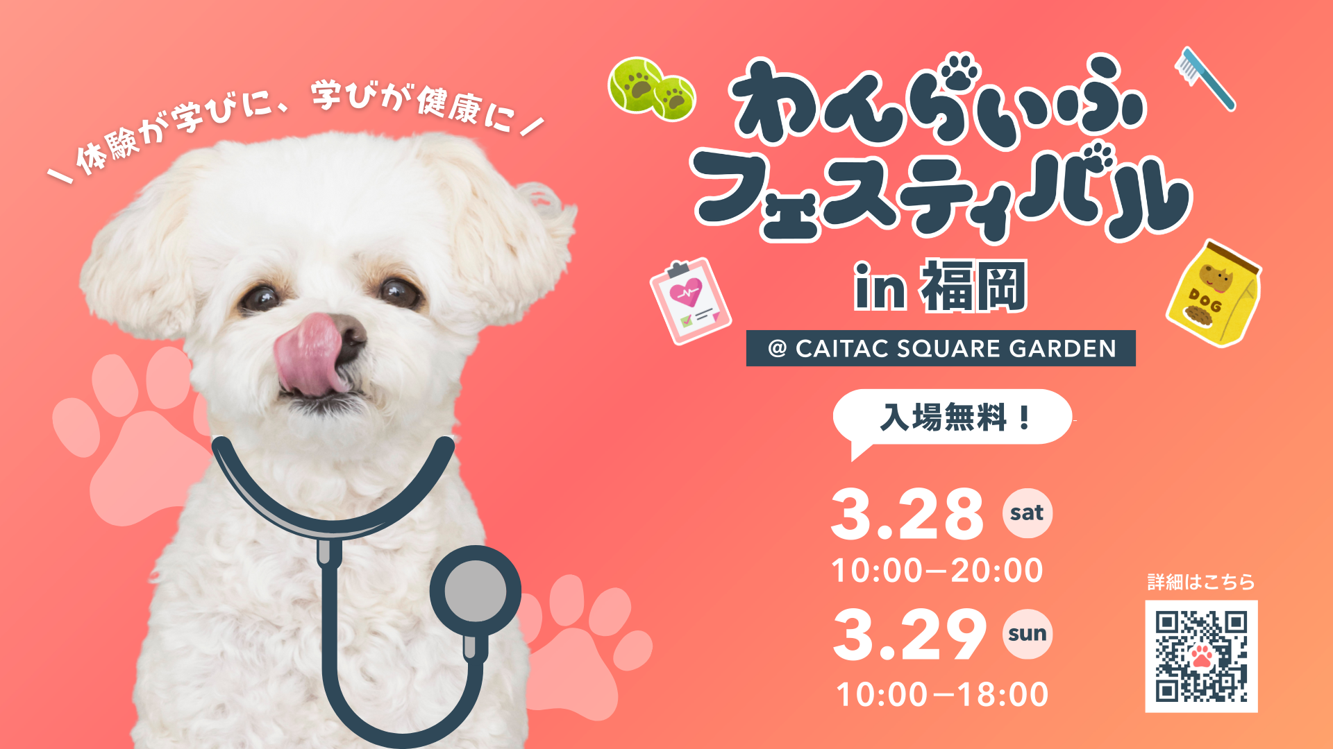 イベント出展のお知らせ　３月２８～２９日にわんらいふフェスティバルに出演します！