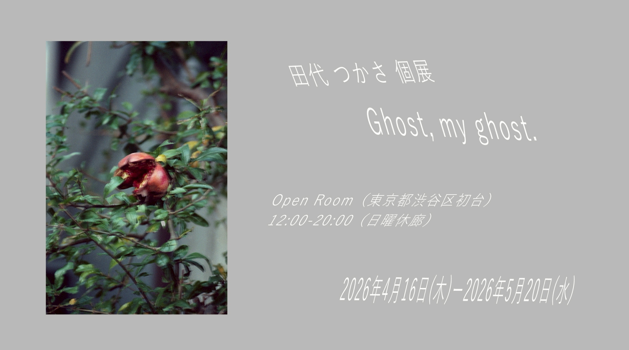 4/16-5/20 田代つかさ個展「Ghost,my ghost.」