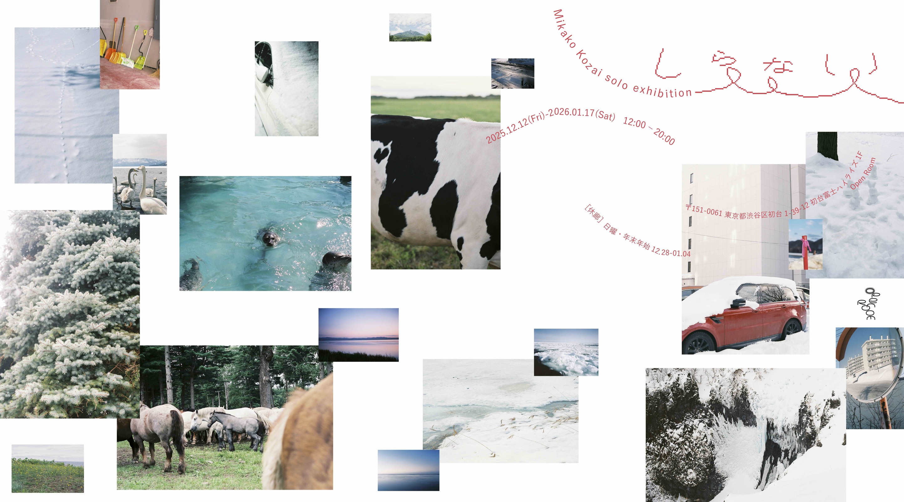 小財美香子 個展「しらない」12/12-1/17