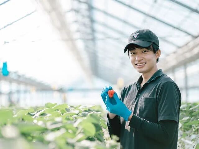 生産者VOICE : 木下晴登