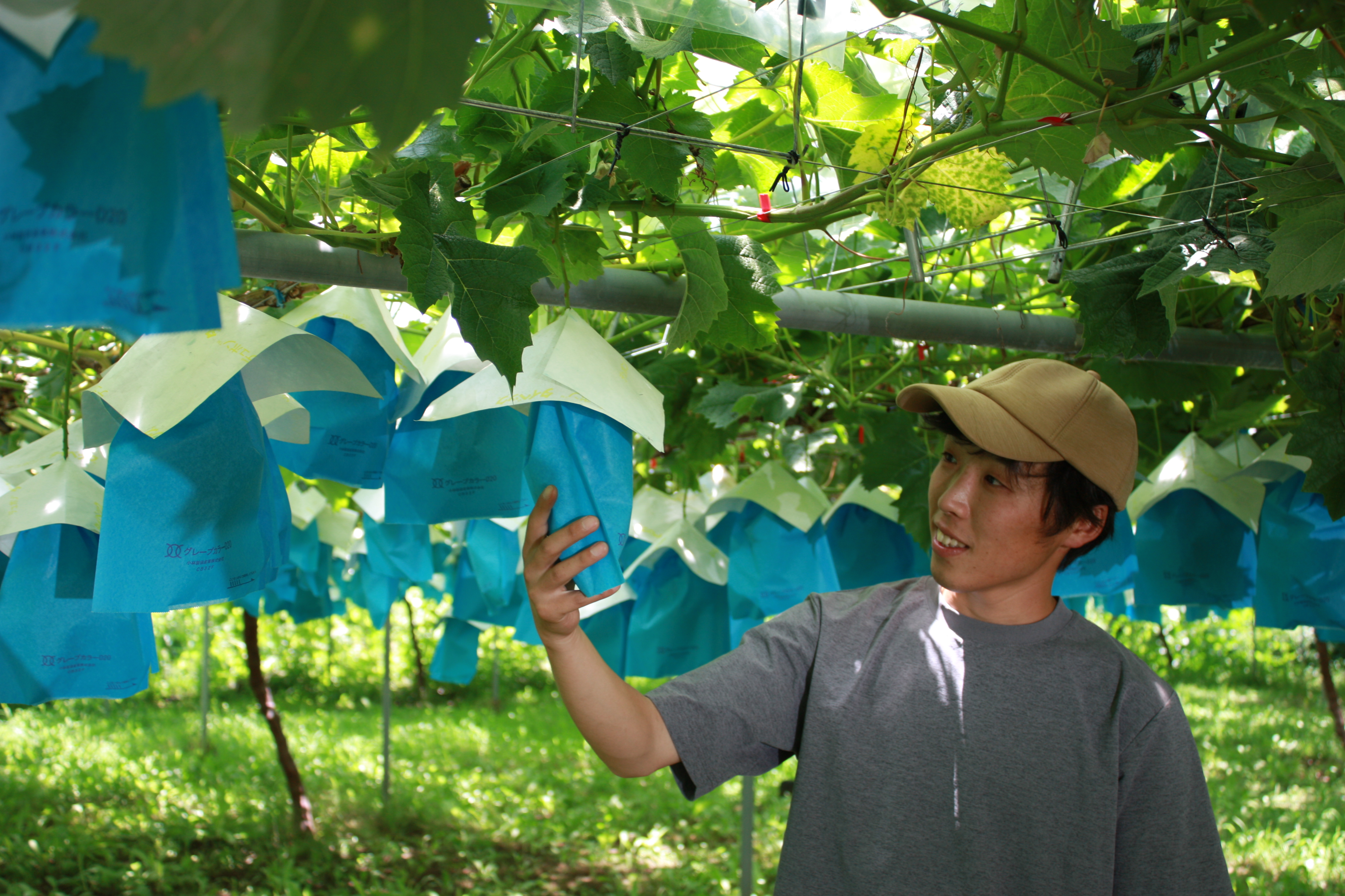 生産者VOICE : 菊地涼太