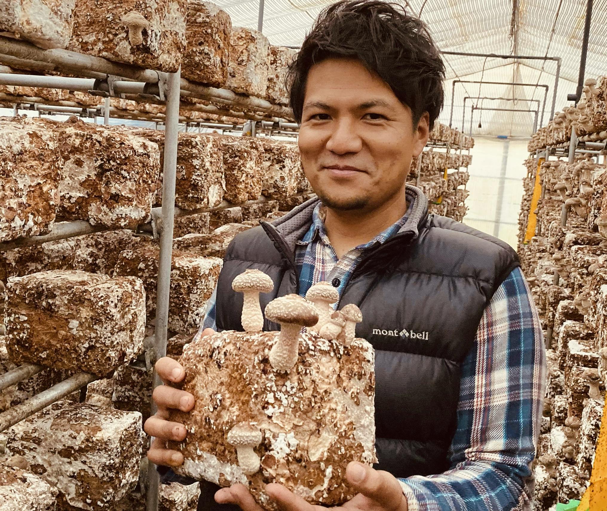 横浜・金沢区で育つ“CO2フリー”しいたけ・きくらげの魅力を探る