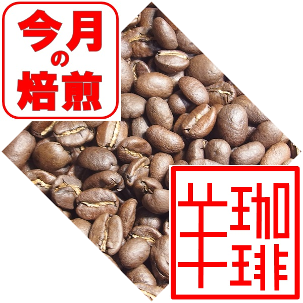 2022年4月「今月の焙煎」コーヒー豆グアテマラSHBアゾテア農園」中煎り