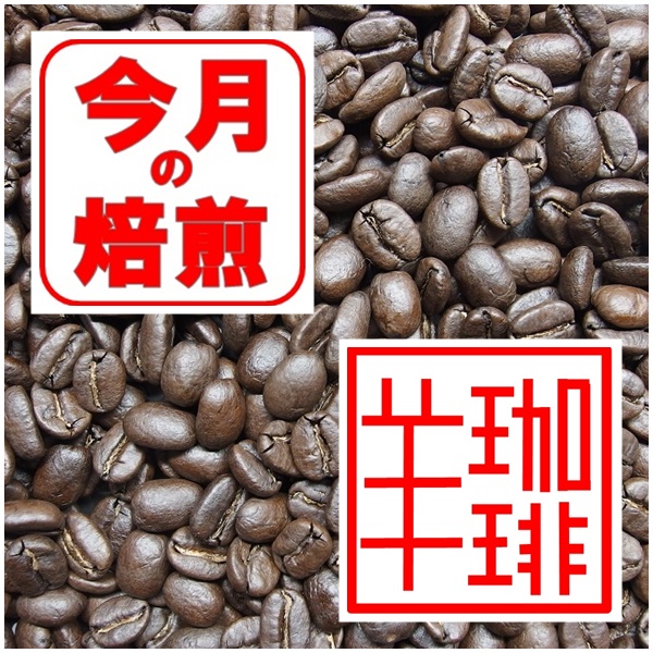 今月の焙煎　コロンビア・マグダレナＳＵＰ