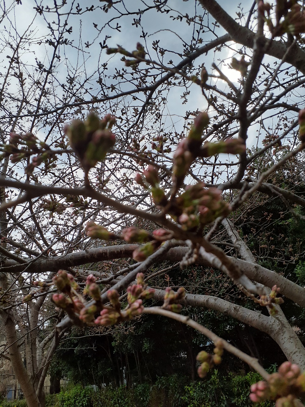 2022年3月21日、今日は春分