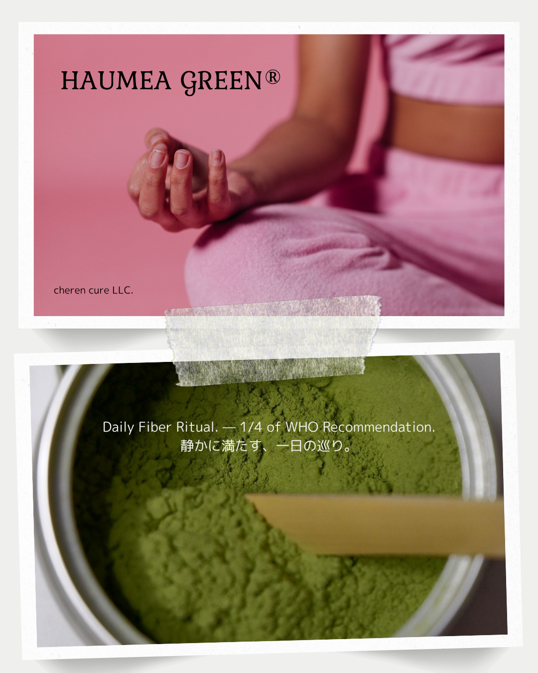 Dietary Fiber & Daily Rhythm