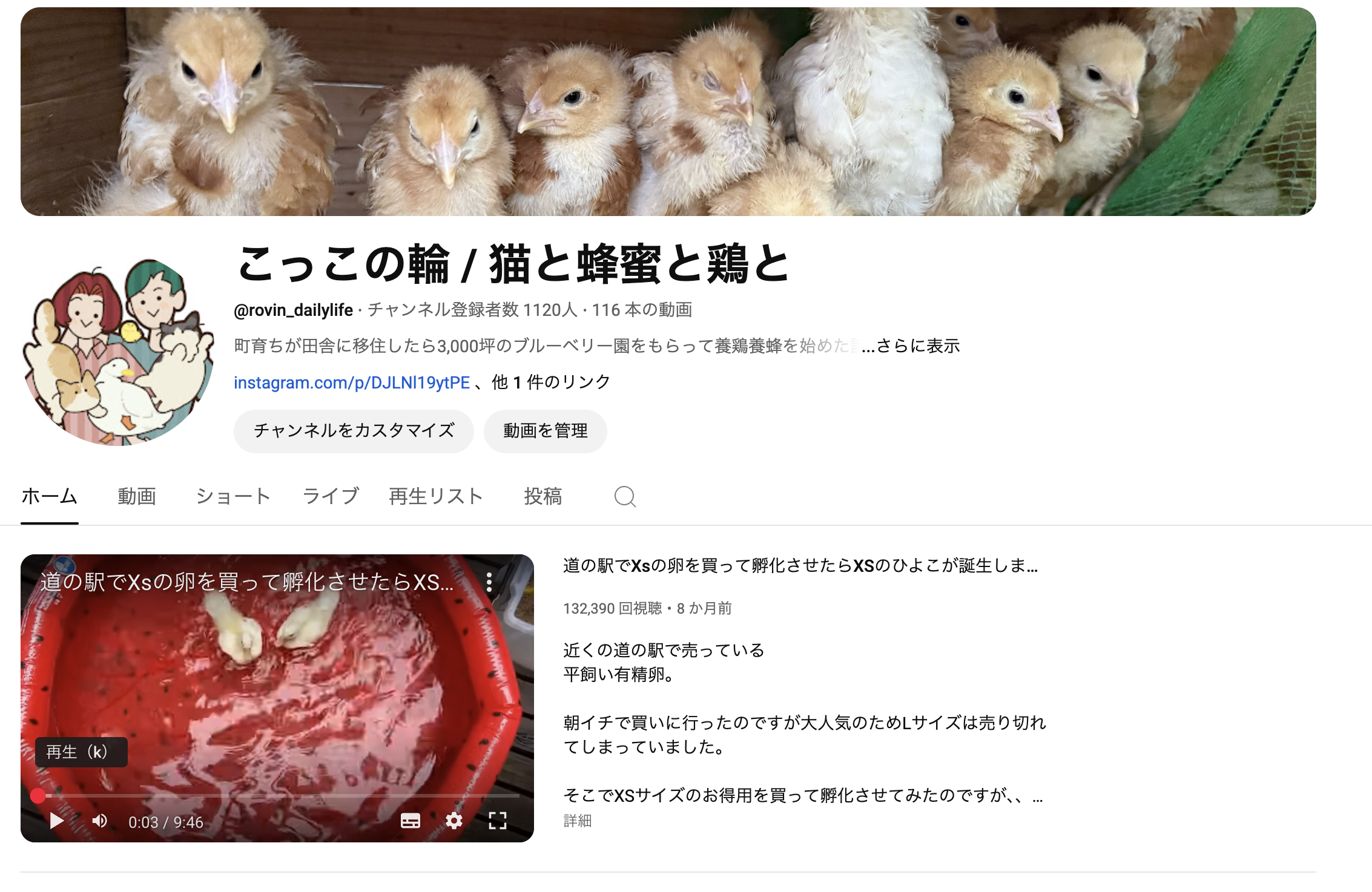 Youtubeのご紹介那須高原の純国産鶏『あずさ』