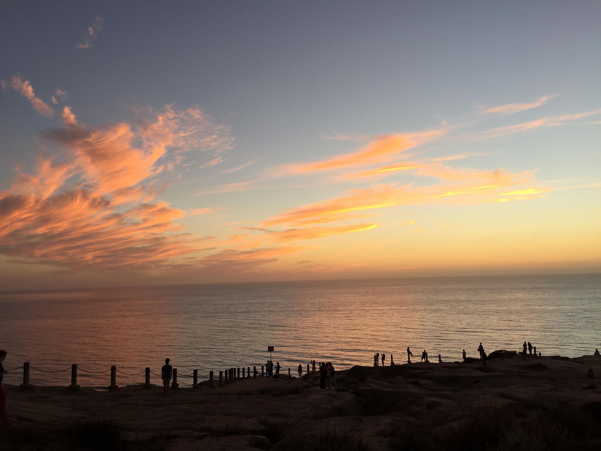 はじめまして、San Diego Craft Beer Japanです🍺
