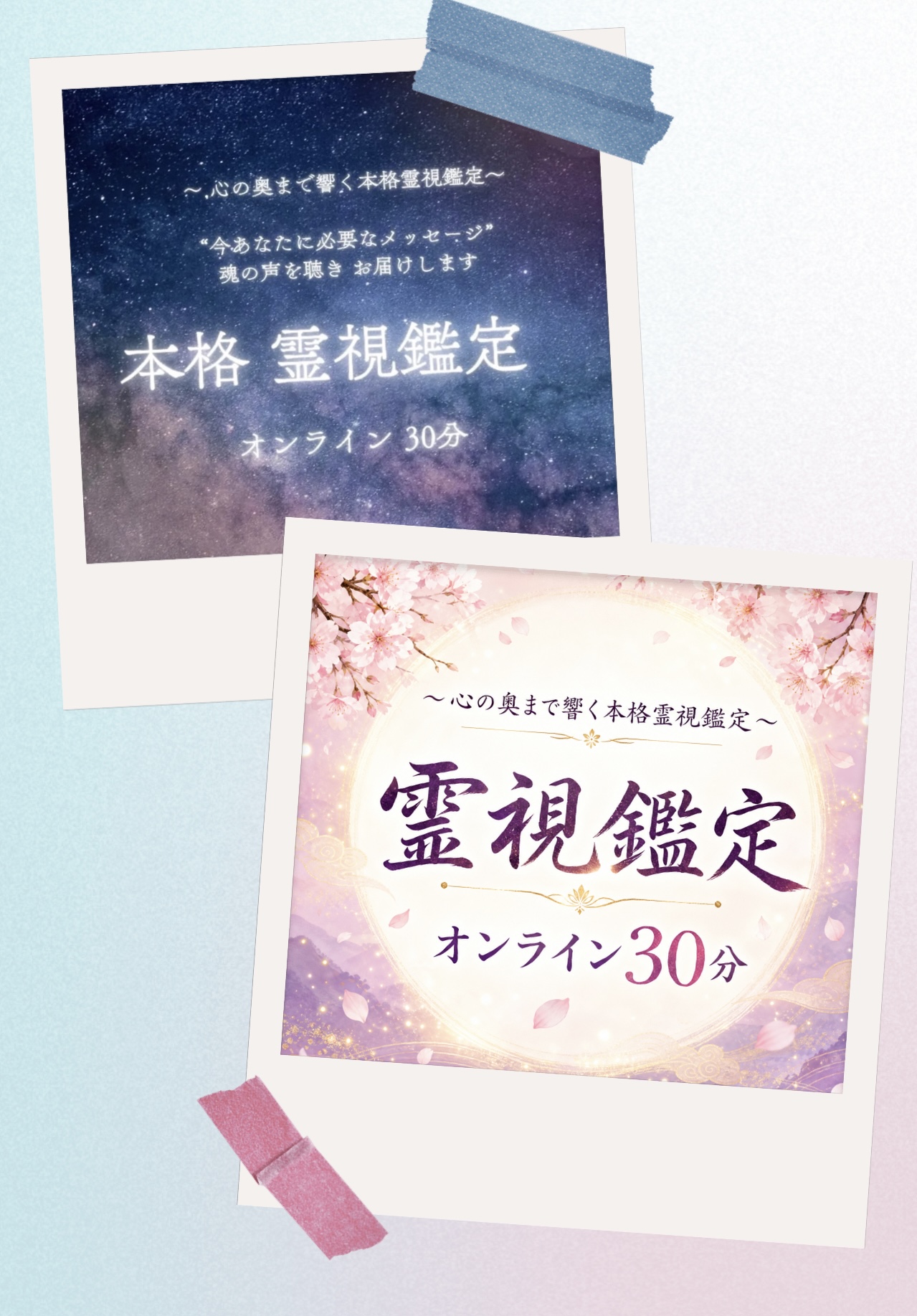 商品画像を新しく致しました