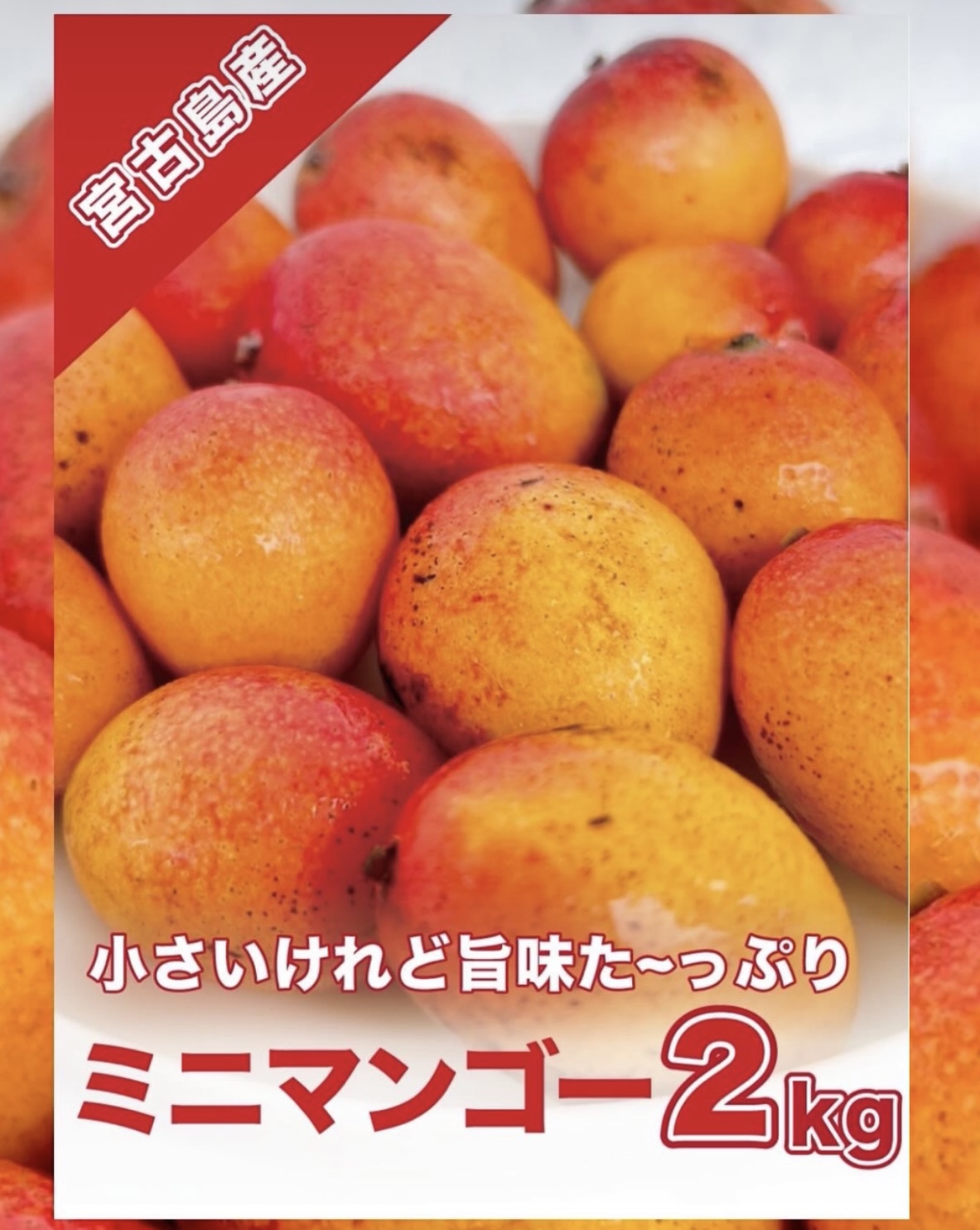 新ラインナップ