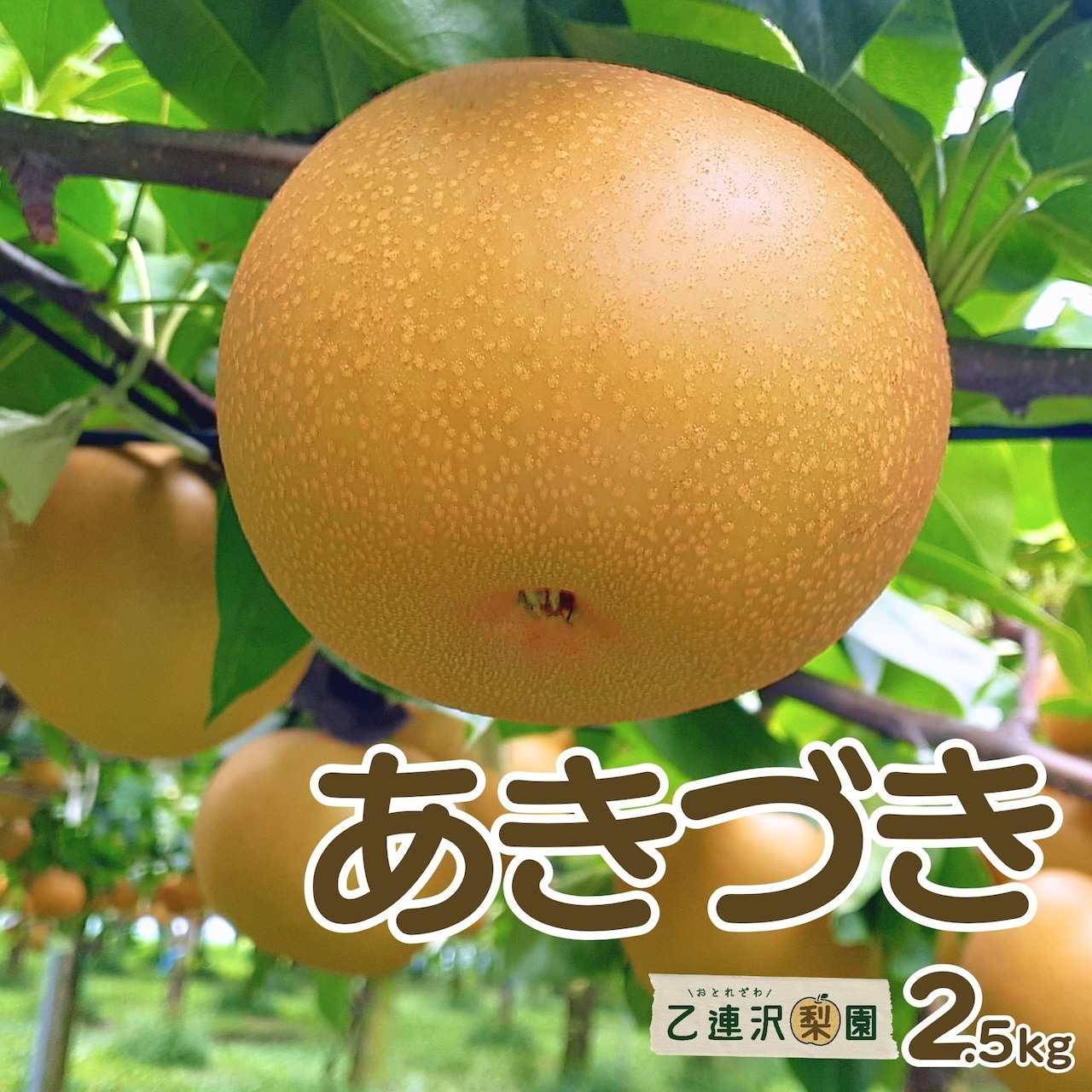 「あきづき」注文受付＆発送について