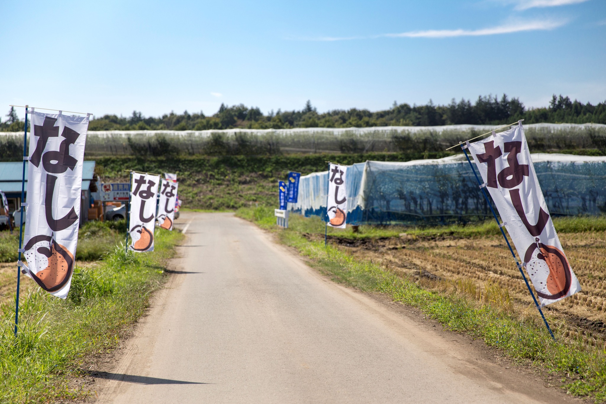 直売所はあと2週間程で営業終了します！