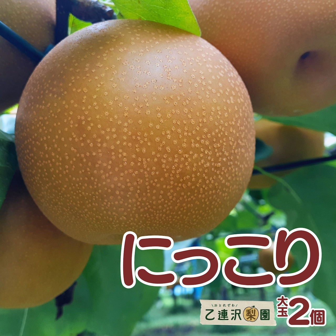 「にっこり」注文受付を10/1（水）から開始！