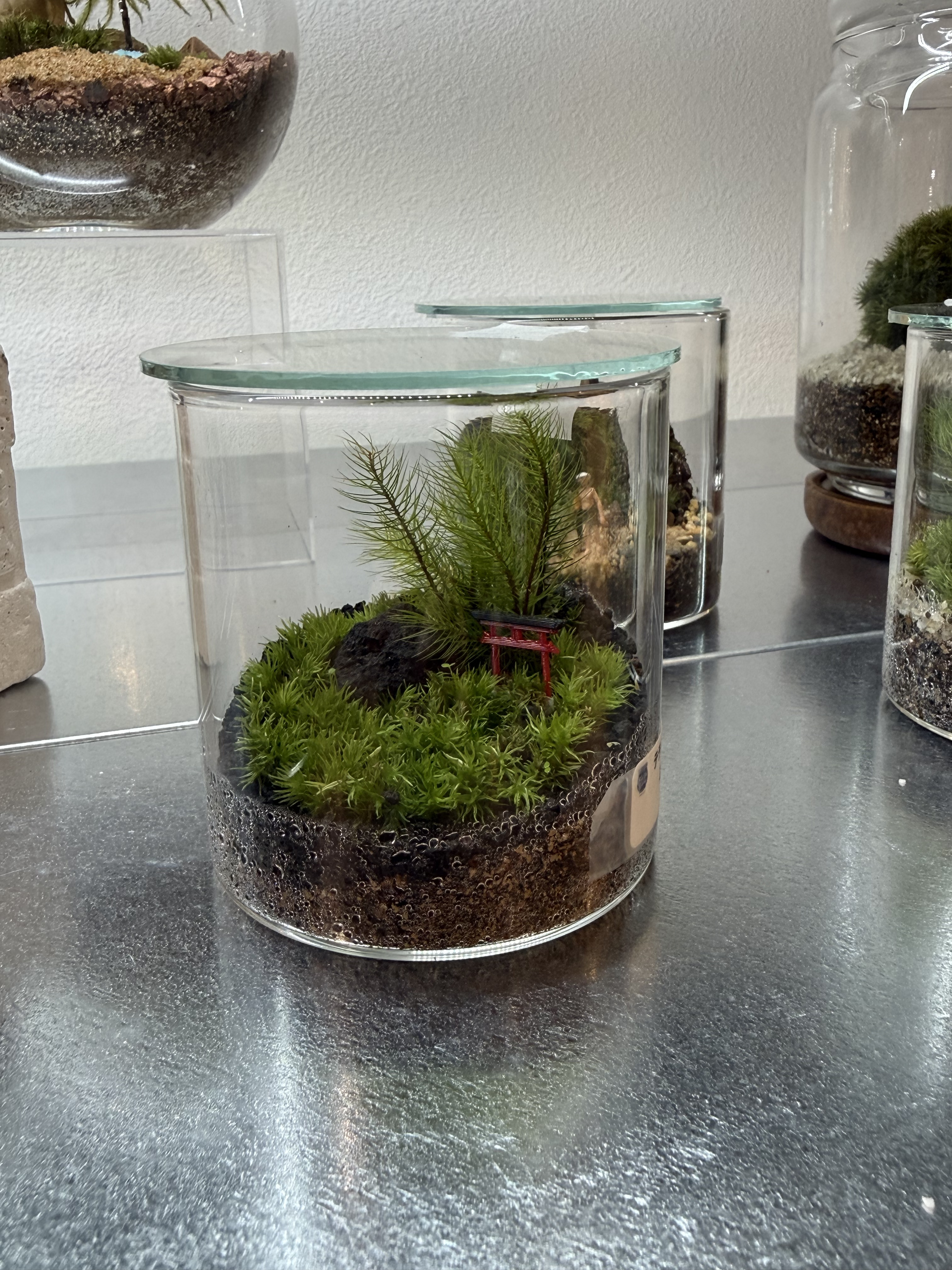 テラリウムに入れるミニチュアを作り続けてきた理由