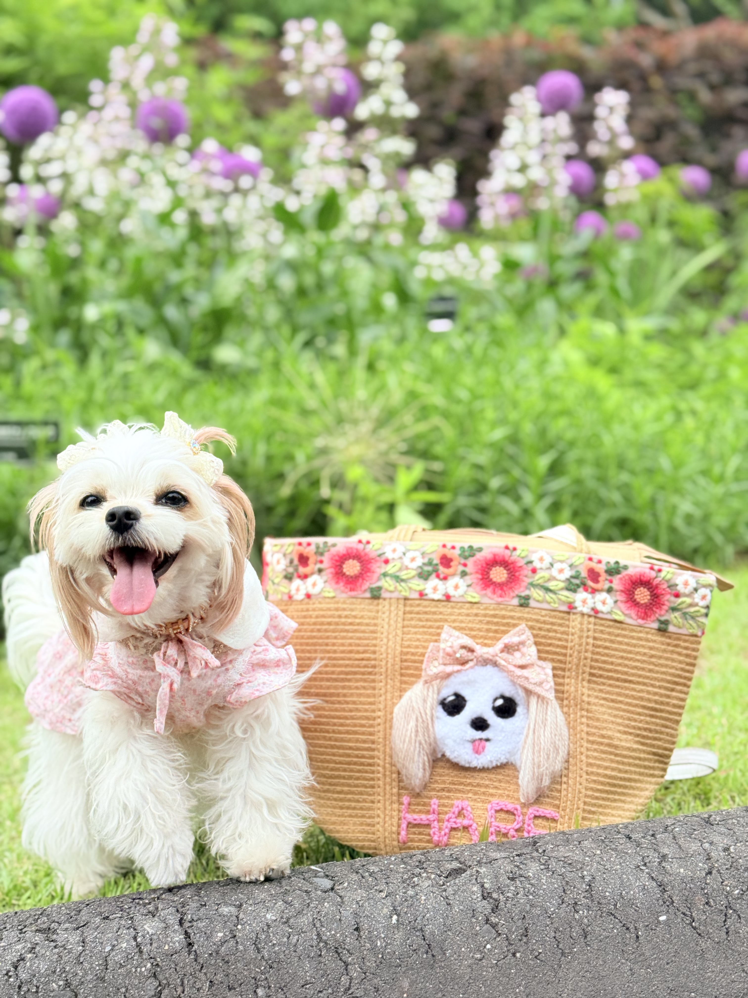 愛犬グッズ 🤍 うちの子バッグ