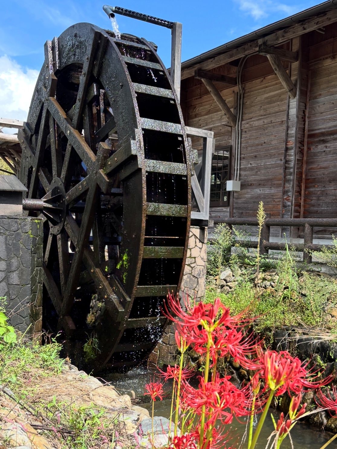 孫水車と彼岸花