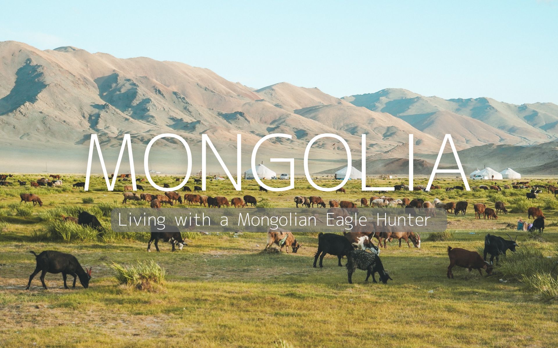 《YouTube》 モンゴル編