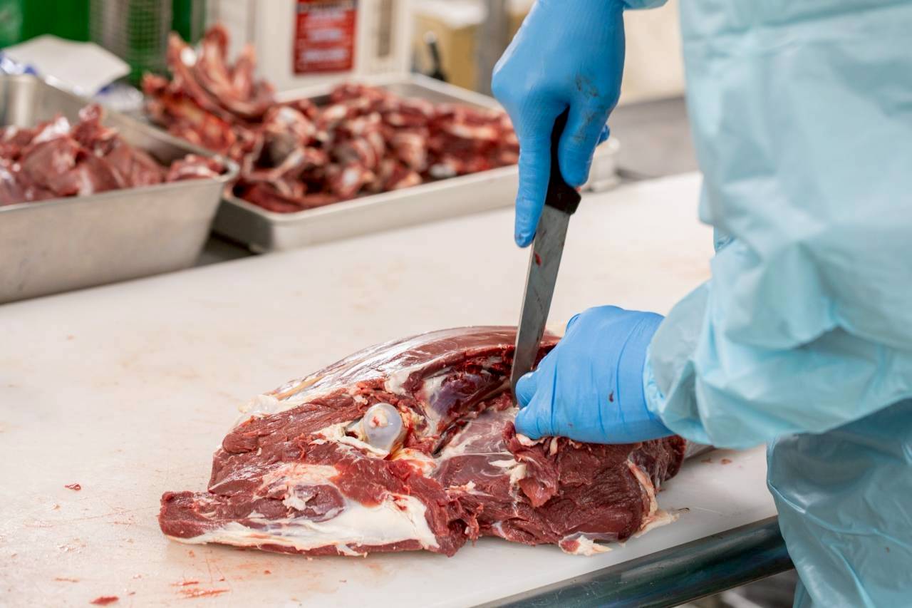 犬のおやつに「鹿肉」が最適な4つのメリット
