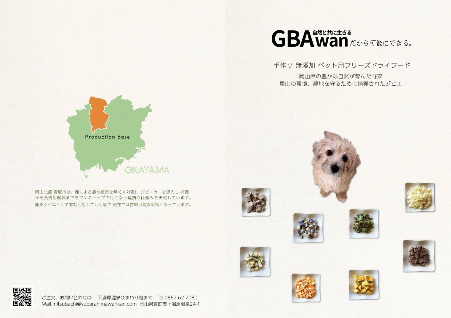 【初夏の体重管理】雨続きで太りやすい季節に!愛犬を肥満から守る「低脂質・低カロリー」なおやつの選び方