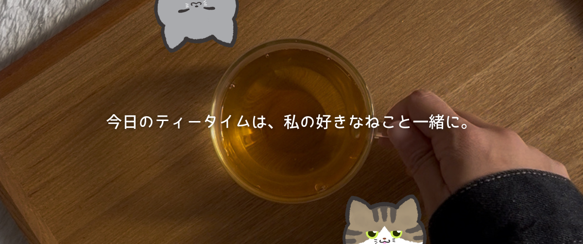 11/20（木）19:00~フルオーダースタートです！