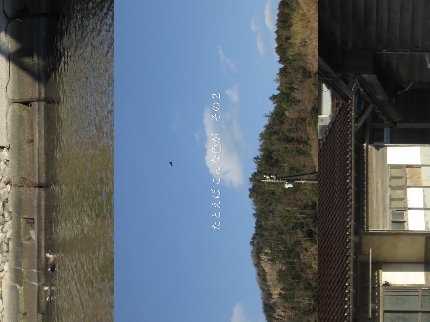 【Diary'26 #9】東京大学入学案内/「晴れたから、」