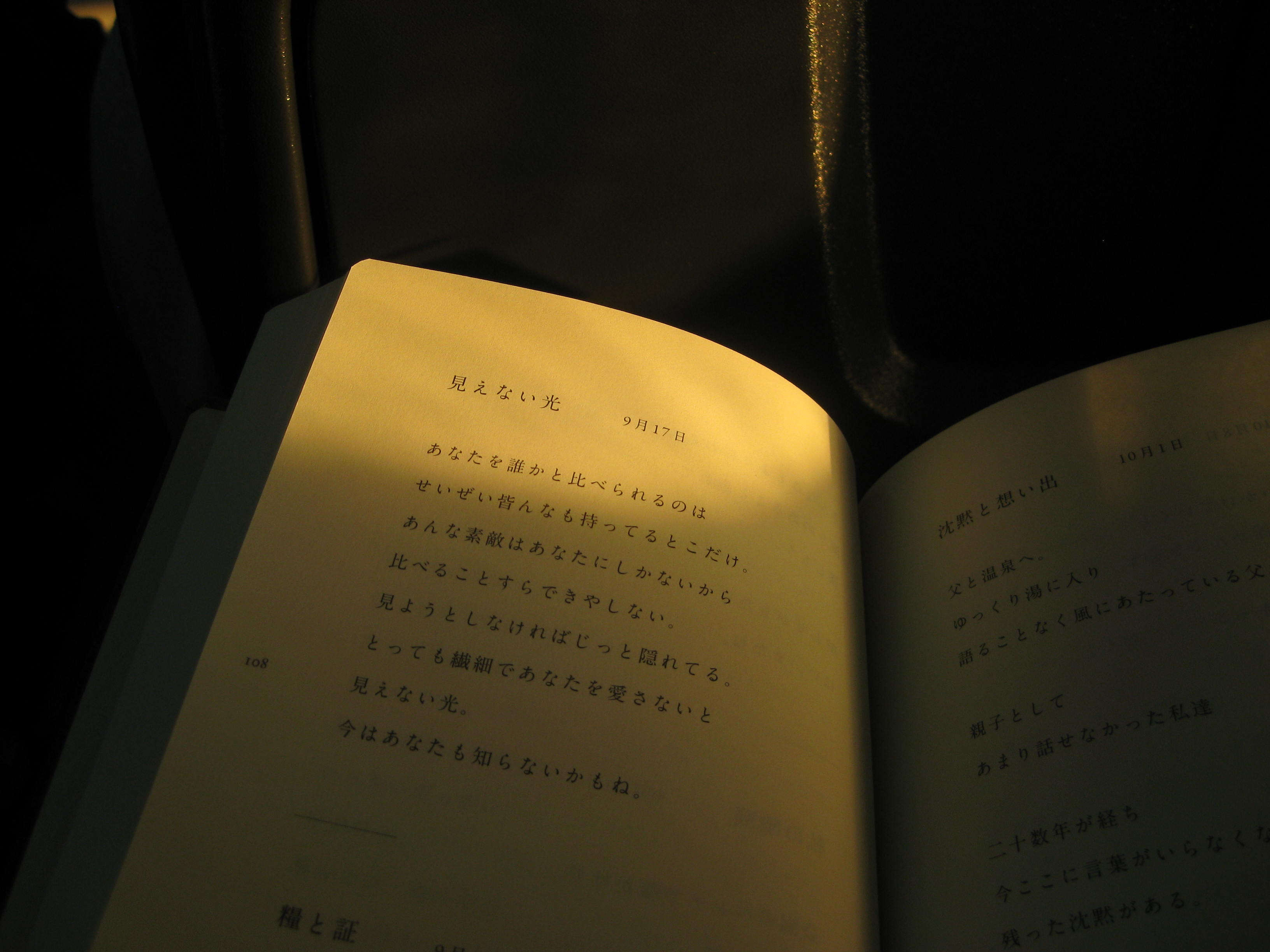 【Diary'26 #2】ロマンス