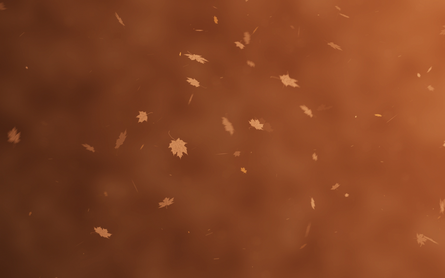 SEASONS｜魅惑の魔女