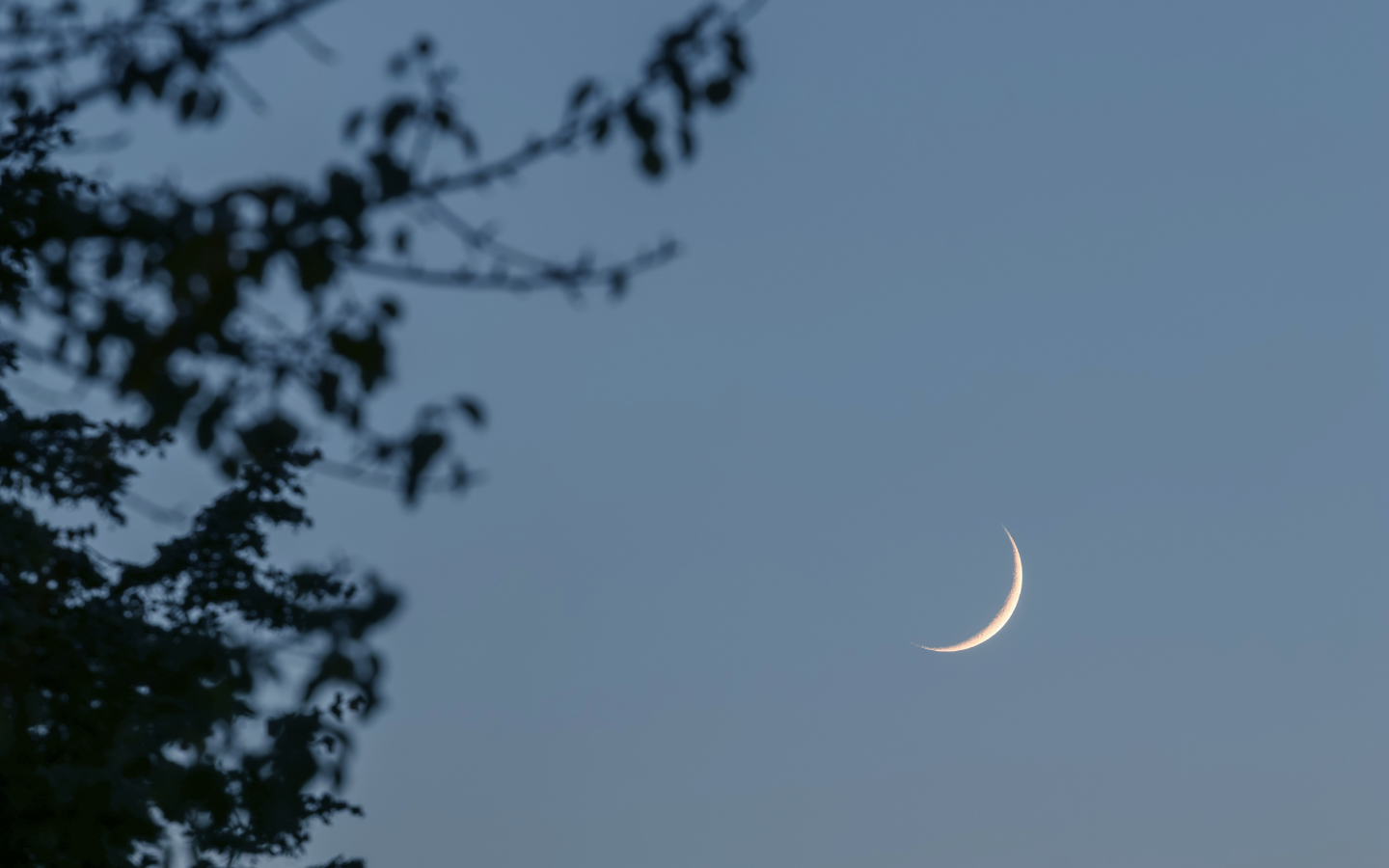 RITUALS｜プランナーとイブニングリチュアル