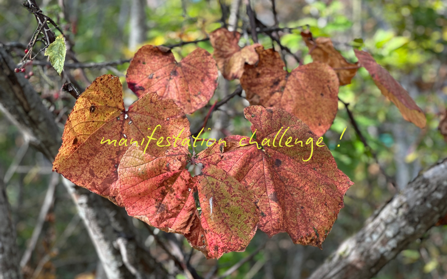 KIRAMEKU｜叶えるために手放すプロセス